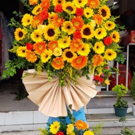 Hoa khai trương 09
